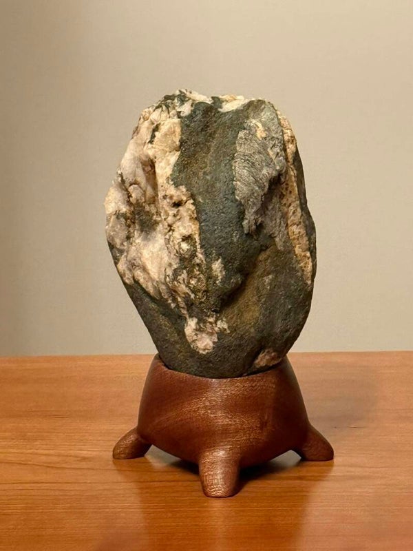 Schist on Sapele