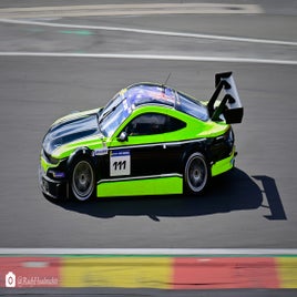 _dsc3900_inpixio-standard.jpg
