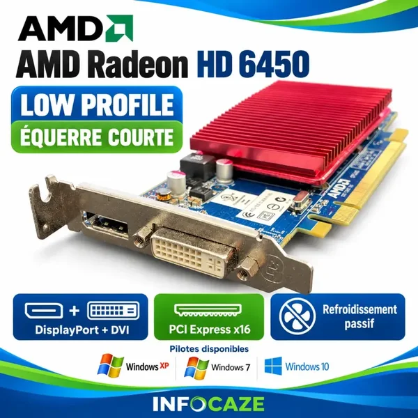 Carte graphique AMD Radeon HD 6450 Low Profile – DisplayPort / DVI – Passive