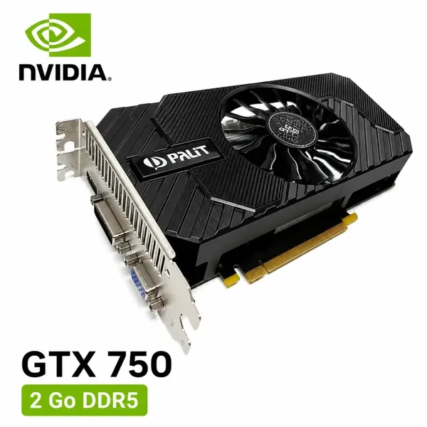 Palit GeForce GTX 750 StormX OC 2 Go GDDR5 – Carte graphique NVIDIA pour rétro gaming