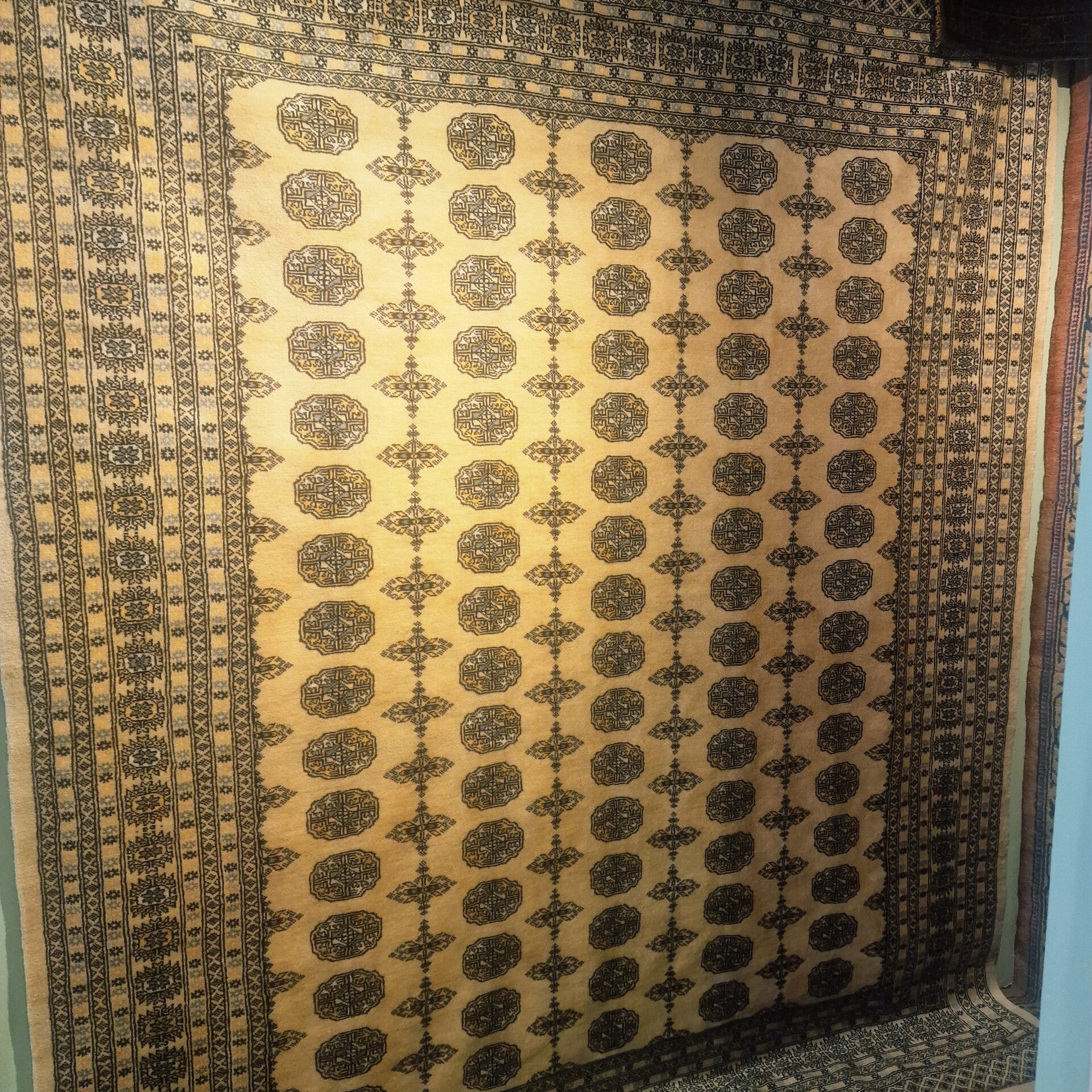 Pakistan Bokhara