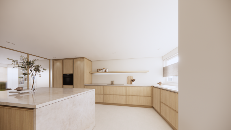 patta-keuken-render-aanzicht-3-standard.png