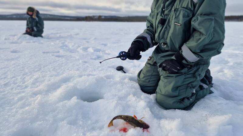 Ice fishing with Mika in Lapland