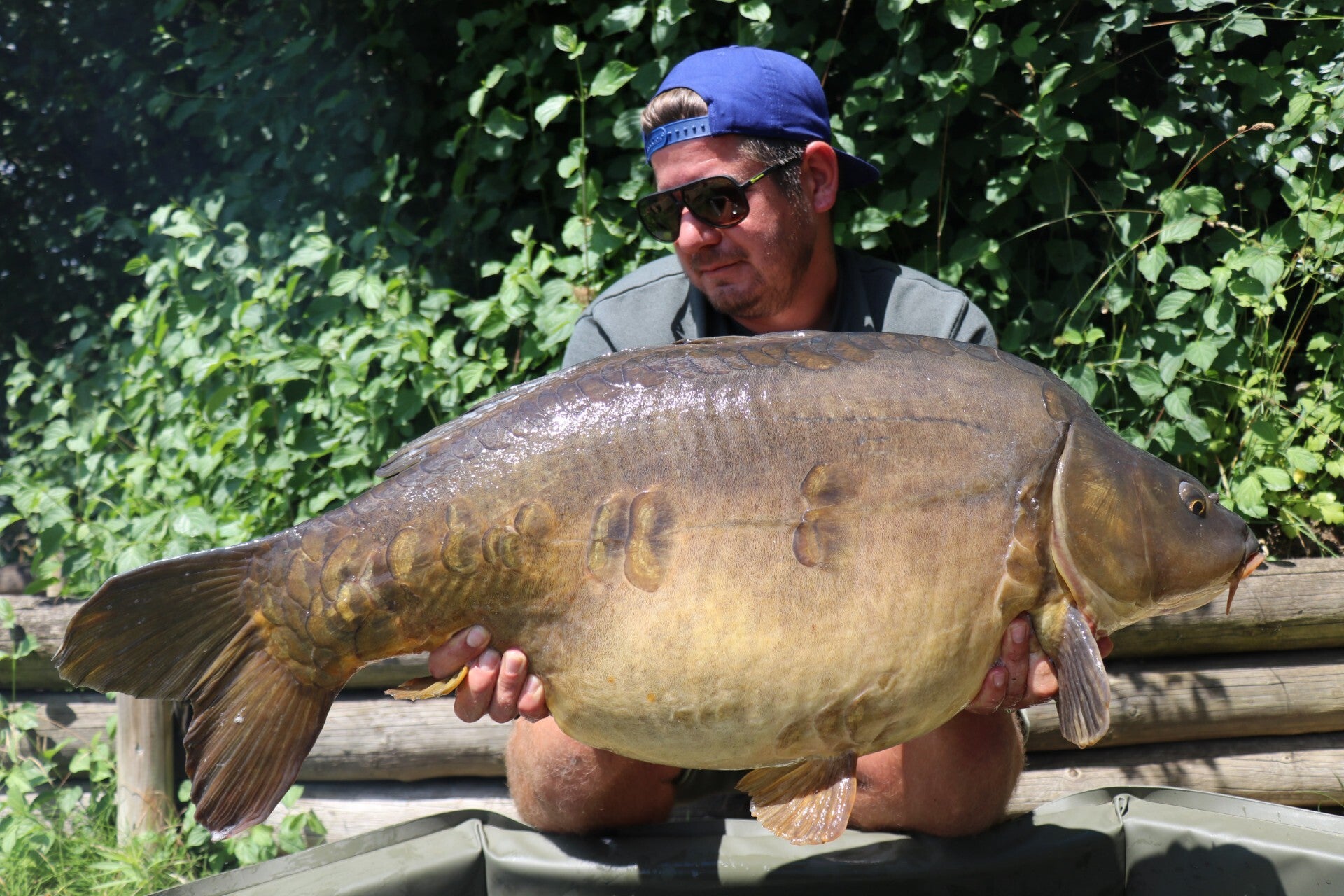 ccd37460-d055-40e3-993f-85edcc1c9e41-standard.jpg