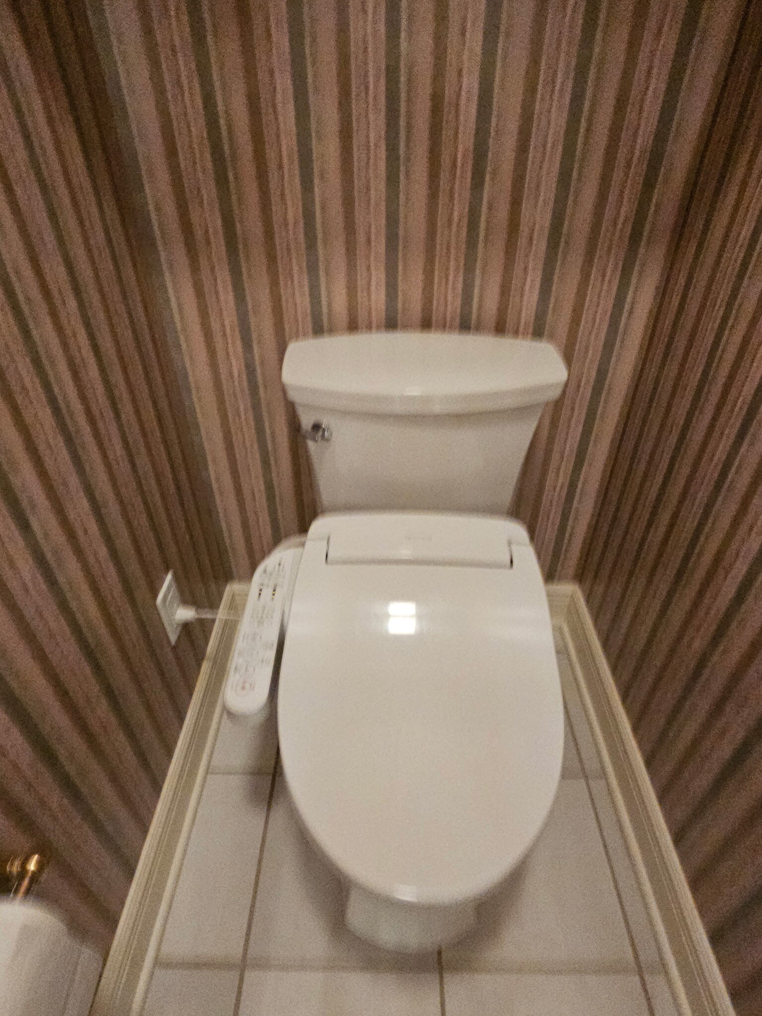 4466038021459337321-standard.jpg