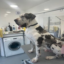 thumbnail_image5-1.jpg