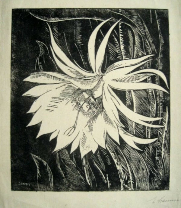 Elisabeth Elsa Stamm Houtsnede 'Cactus' ~1930  Gesigneerd