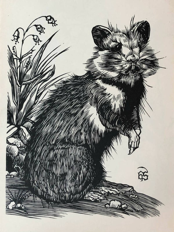 Hermann Schrader Houtsnede 'Hamster' ~1930