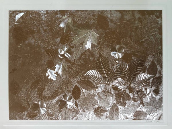 Patrick Dupré Reliëf zeefdruk (Embossed Screenprint) 'Leaves' ~1980 Gesigneerd