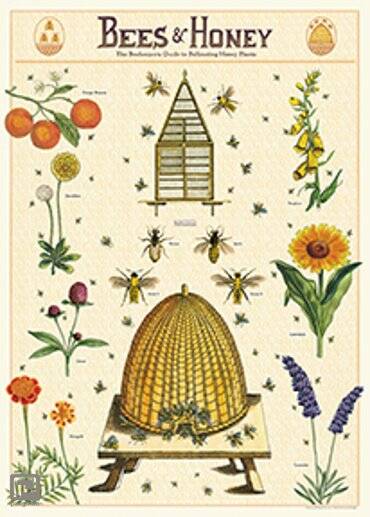 cavallini-co-vintage-poster-bees-honey-1.jpg