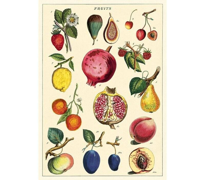 cavallini-papers-co-cavallini-fruit-2-wrap-poster-1.jpg