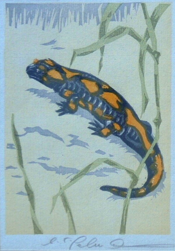 *Onbekende kunstenaar Kleurenhoutsnede 'Vuursalamander' ~1925  Gesigneerd
