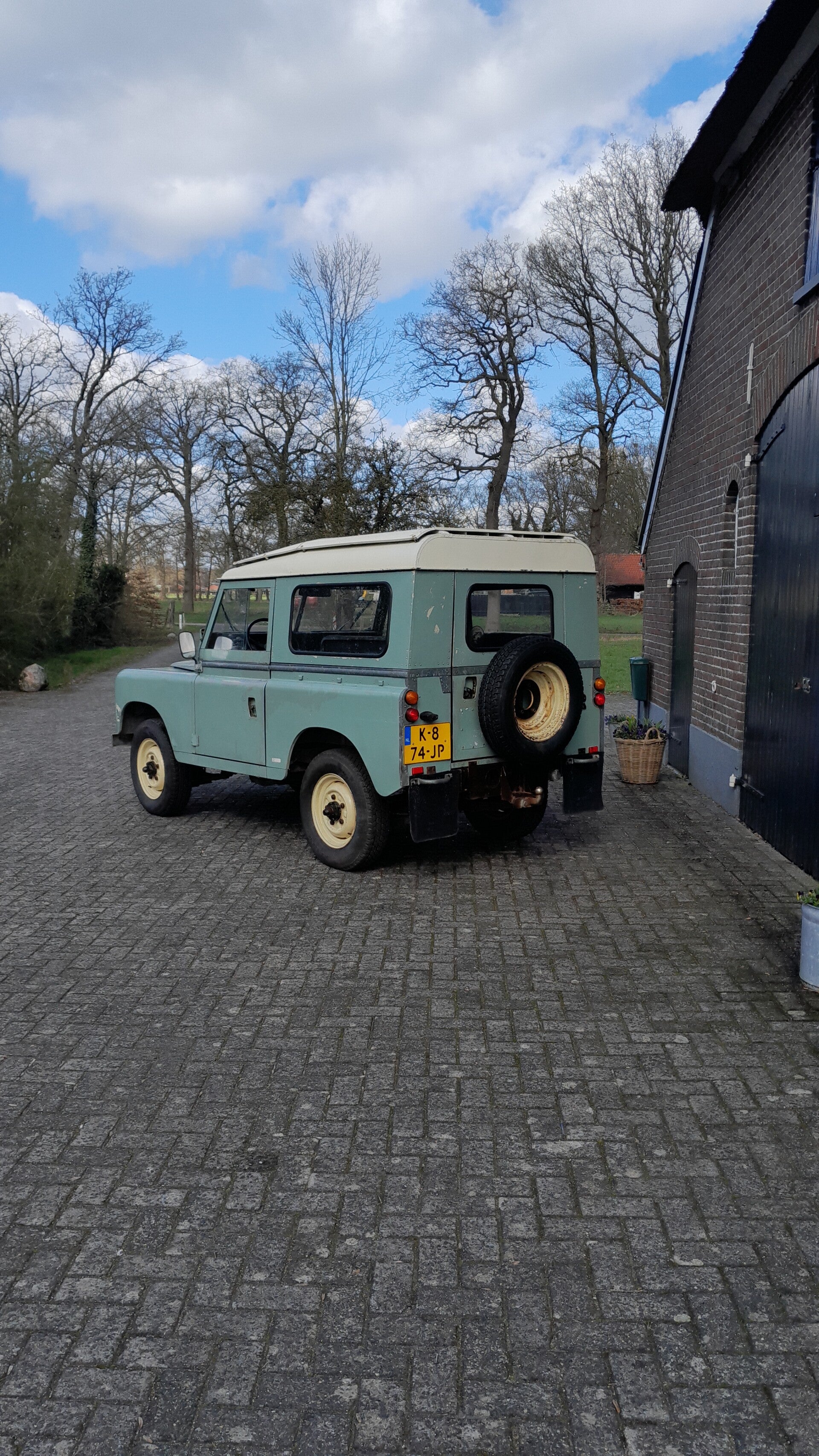 20260315_125433-standard.jpg