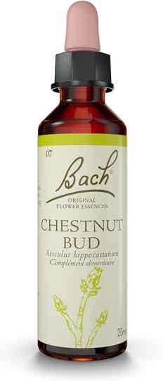 FLEURS DE BACH - CHESNUT BUD (BOURGEON DE MARRONNIER) 20ml