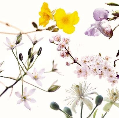 DEMANDE PREMIER CONTACT GRATUIT