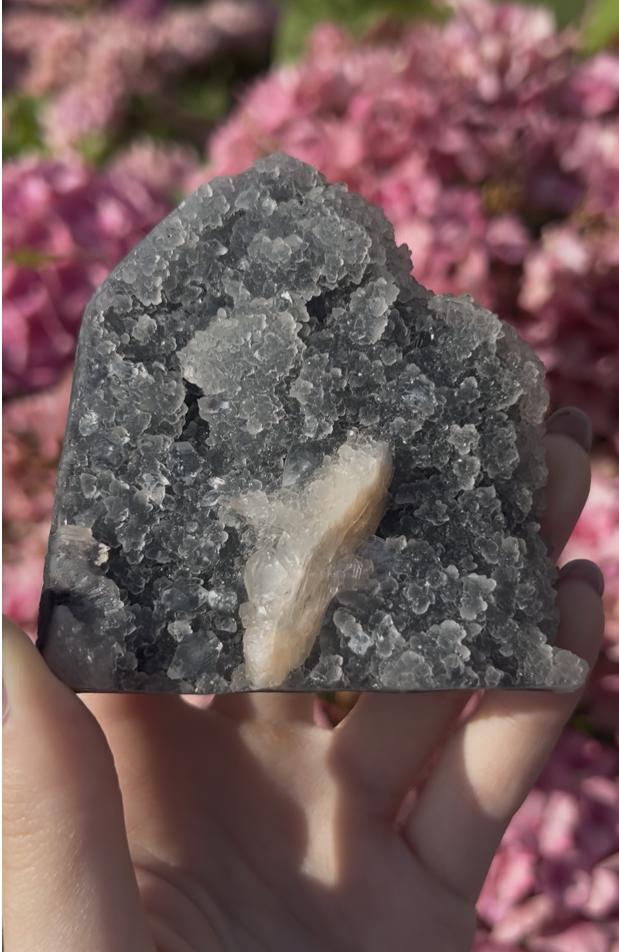 Zwarte Chalcedoon #KR-59