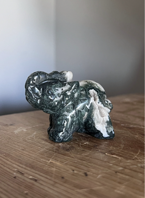 Mosagaat olifant #2