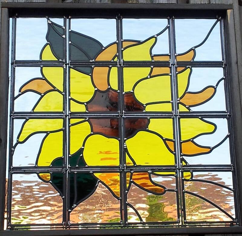 zonnebloem2.jpg