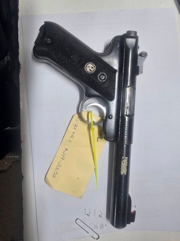 Ruger .22