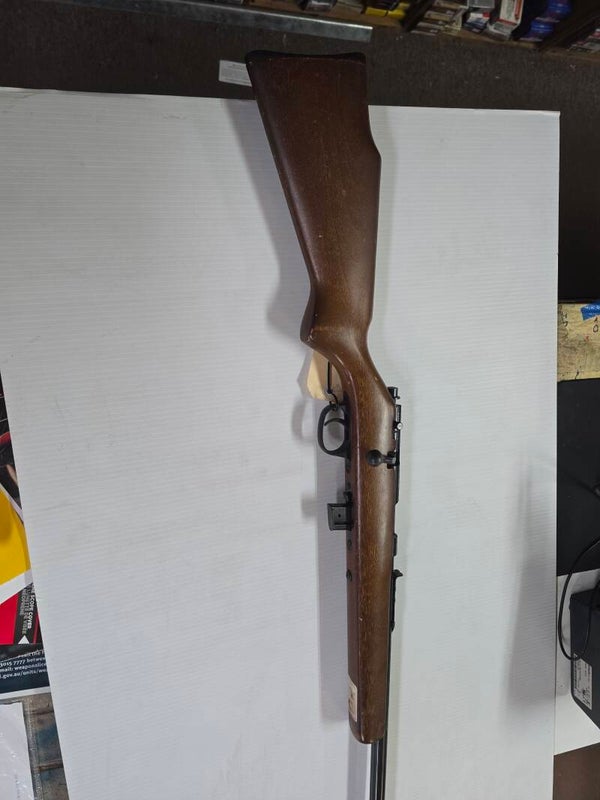 Marlin 25N