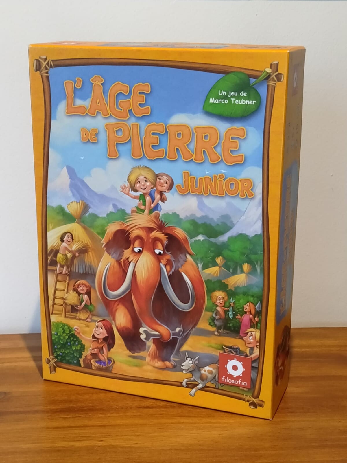 Jeu l'Âge de Pierre Junior