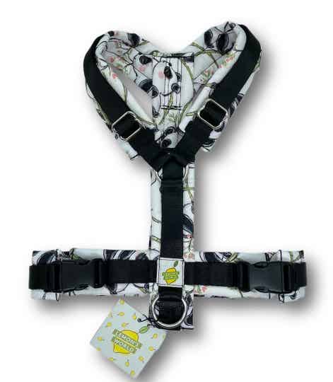 Harness S