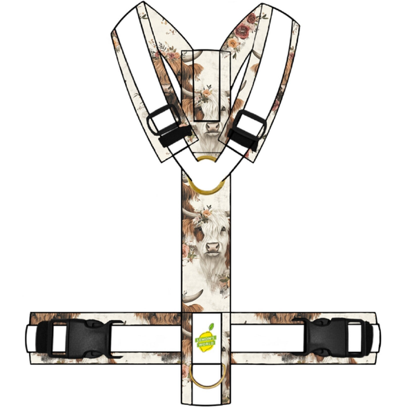 Y-GESCHIRR Highlander