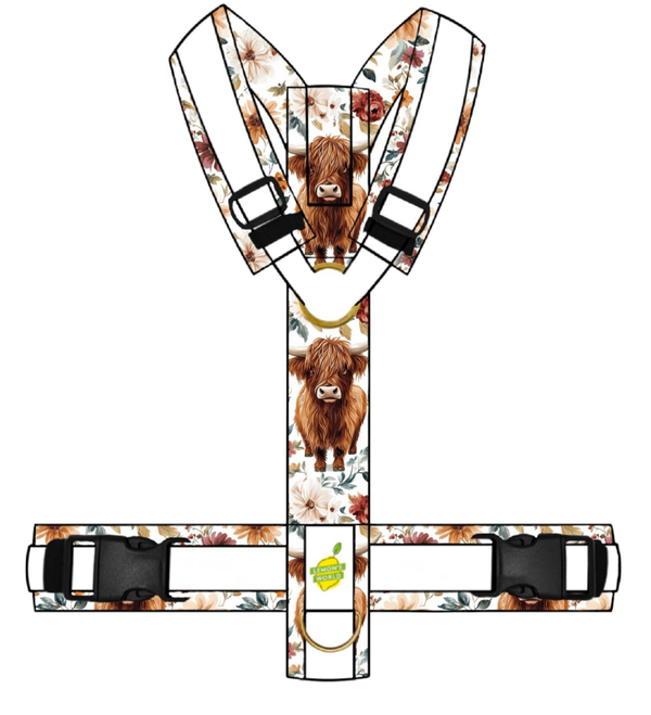 Y-GESCHIRR Highlander Flower