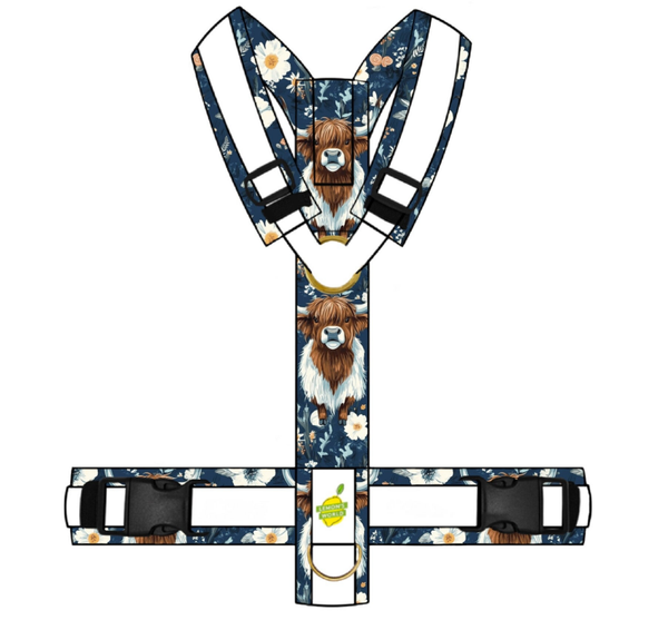 Y-GESCHIRR Highlander Blau