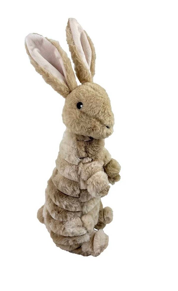 Hase