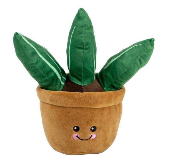 Cuddle Cactus