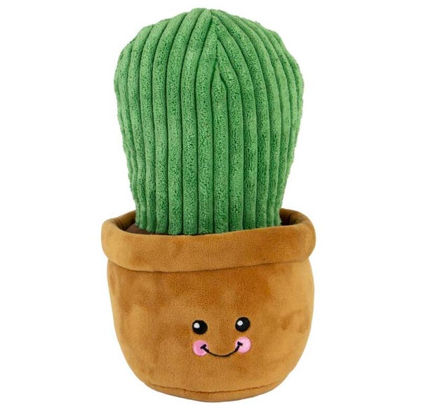Cuddle Cactus