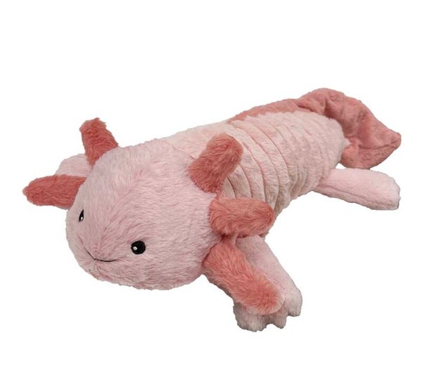 Axolotl
