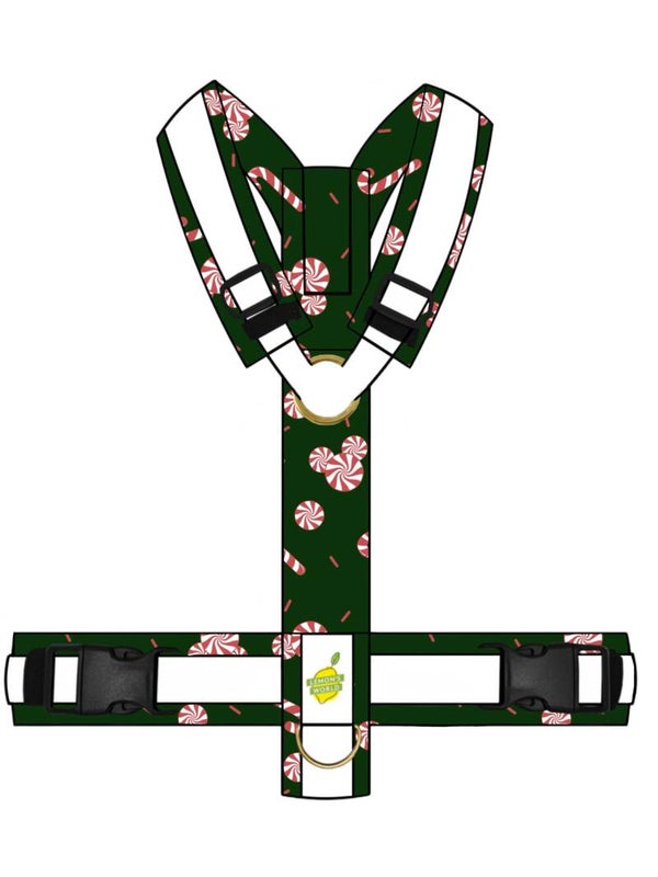 Y-GESCHIRR MICKY CANDY