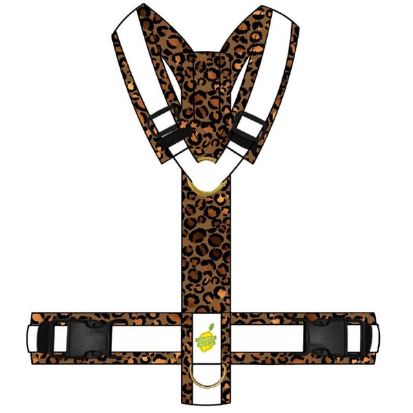 Y-GESCHIRR LEO Bronze