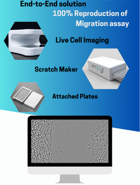 reproduction of migration assay