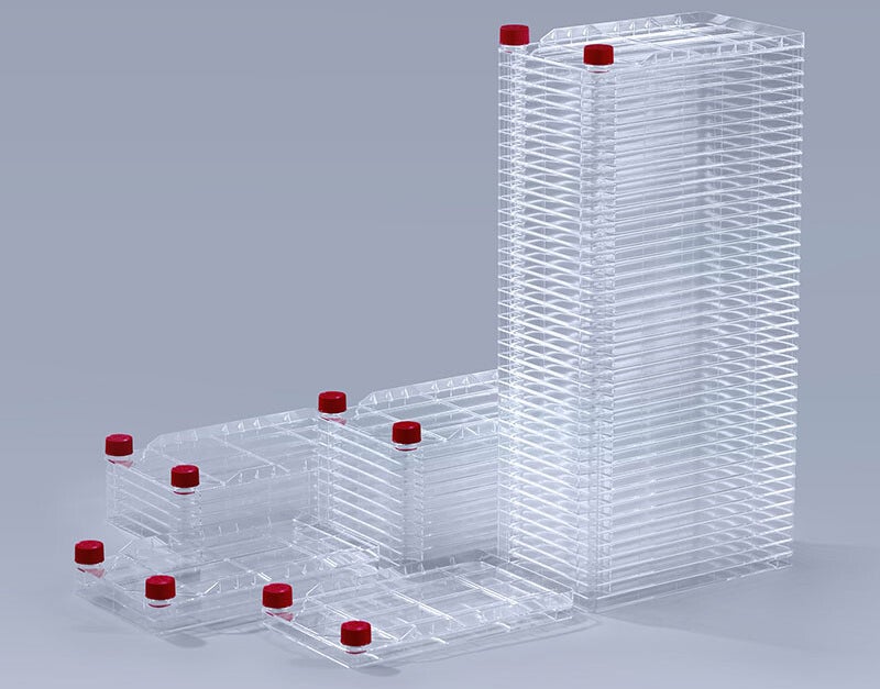 Variations for cell factory from seamlessbio