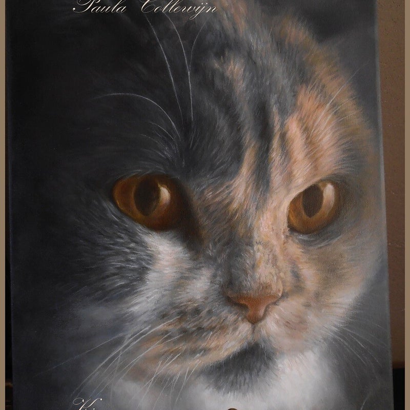 Kiss Me Keet van Shorazana