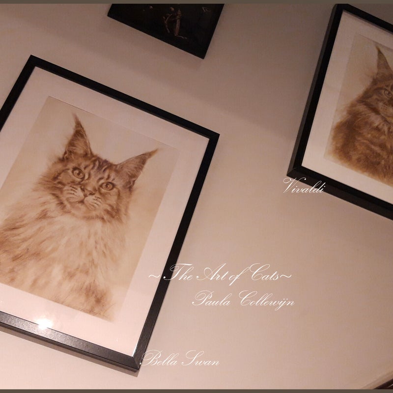 Bella Swan en Vivaldi - framed