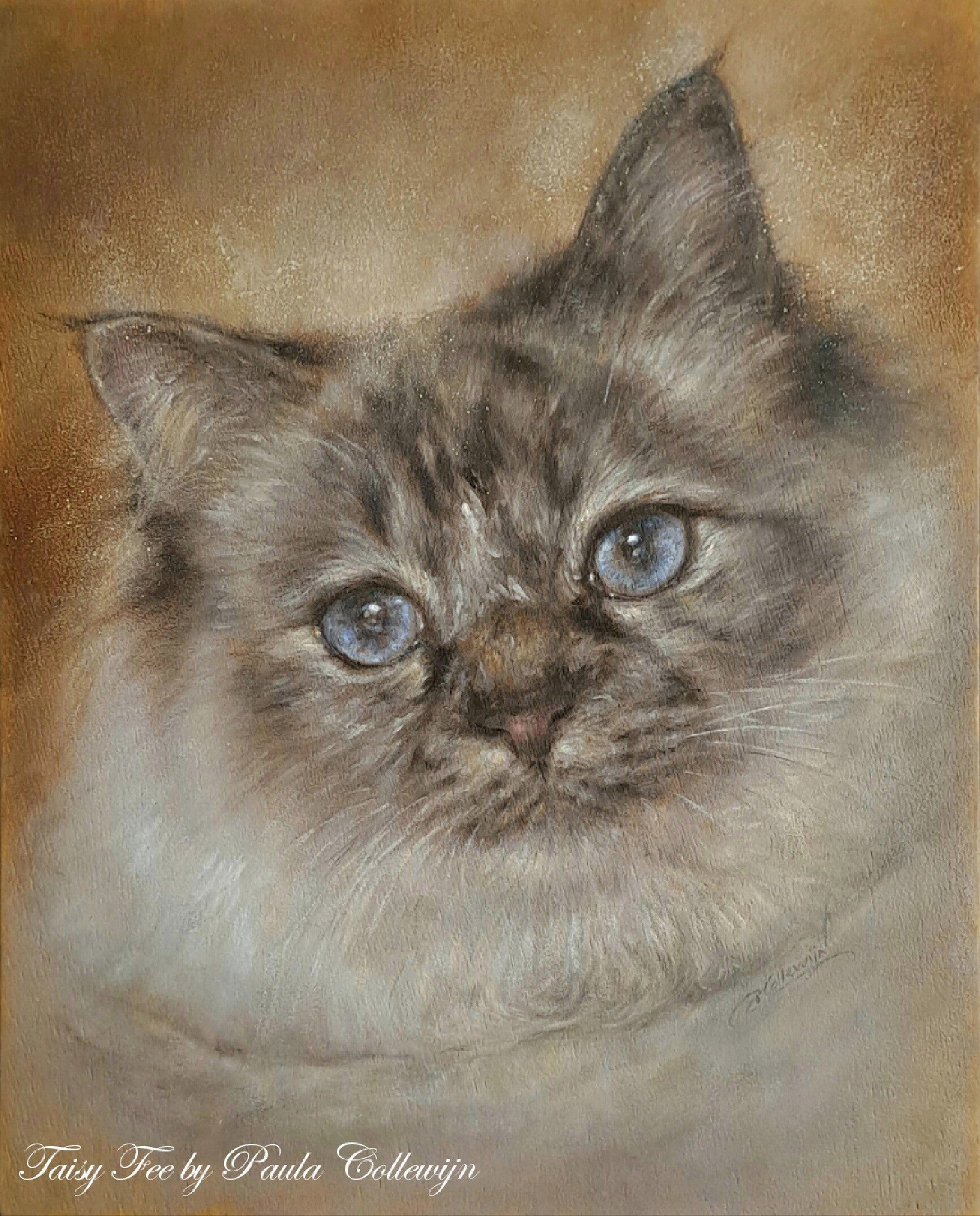 Taisy Fee