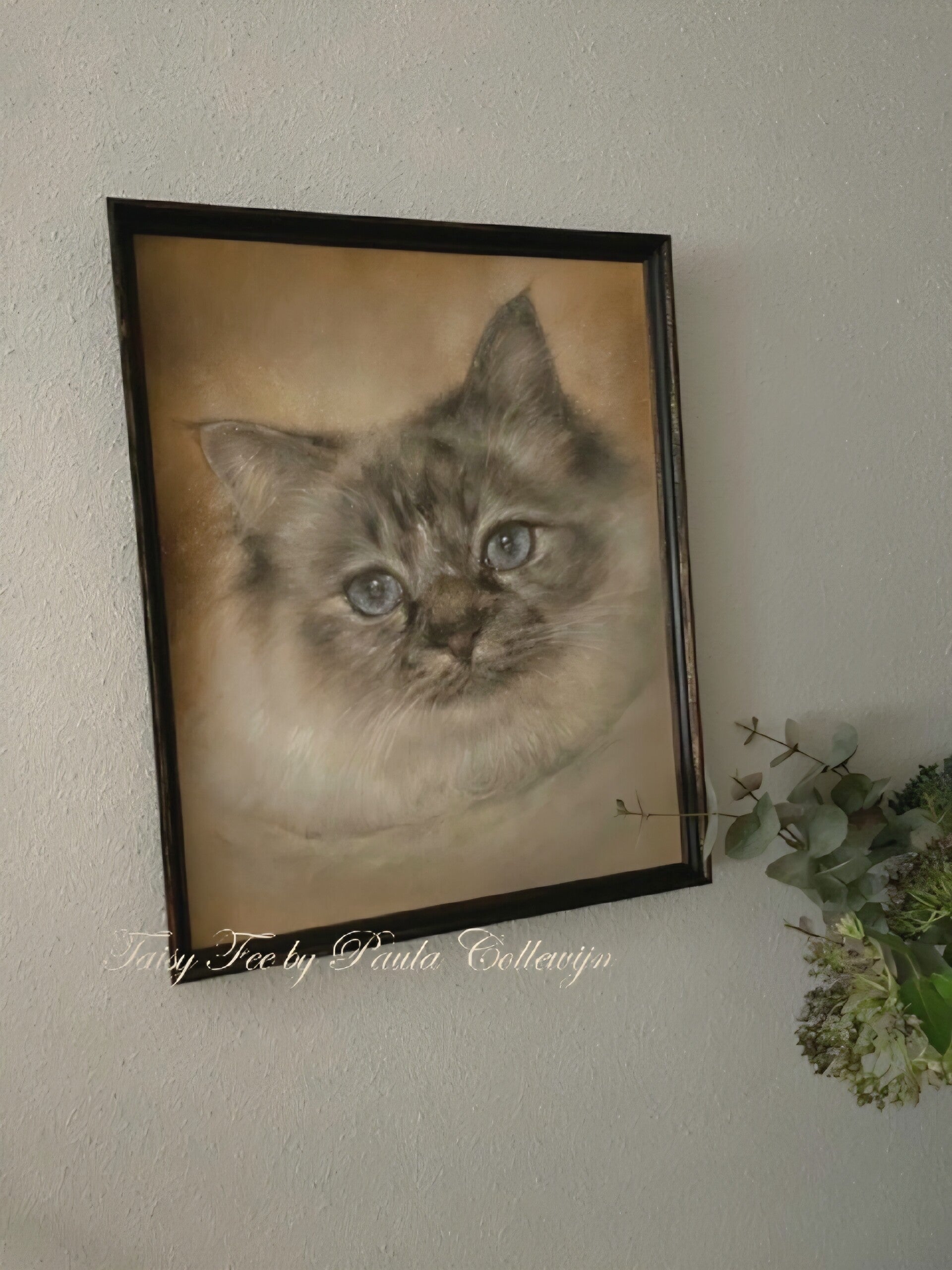 Romashka's Taisy Fee