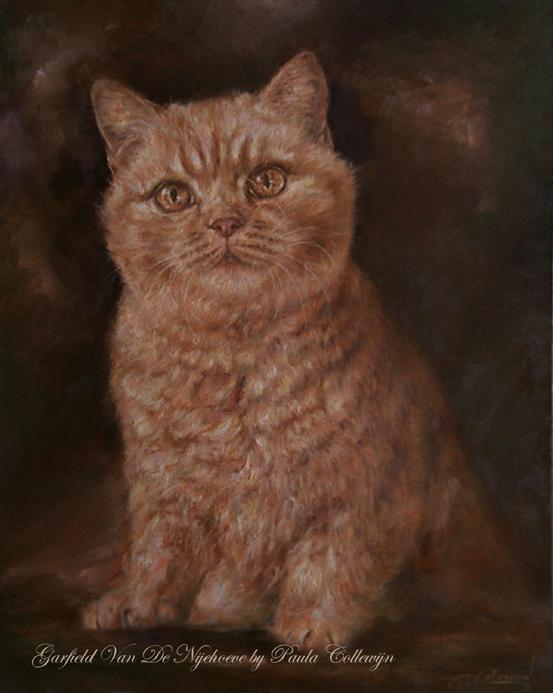Garfield Van De Nijehoeve
