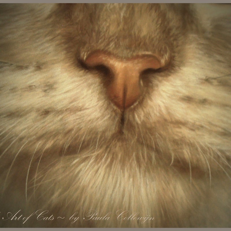 The Art of Feline Oswin - detail