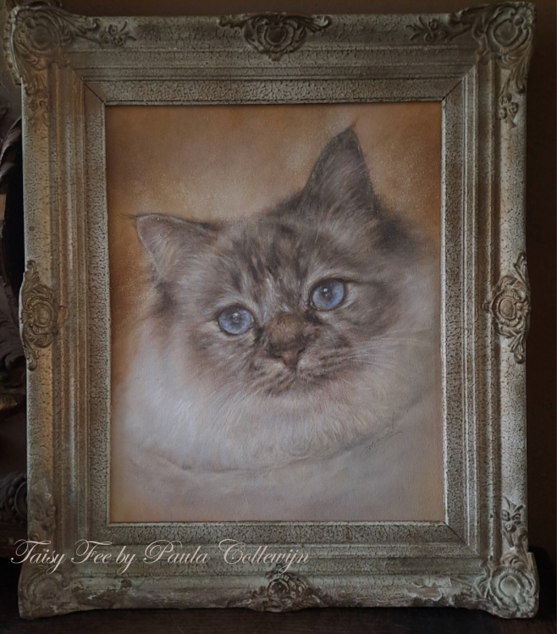 Romashka's Taisy Fee