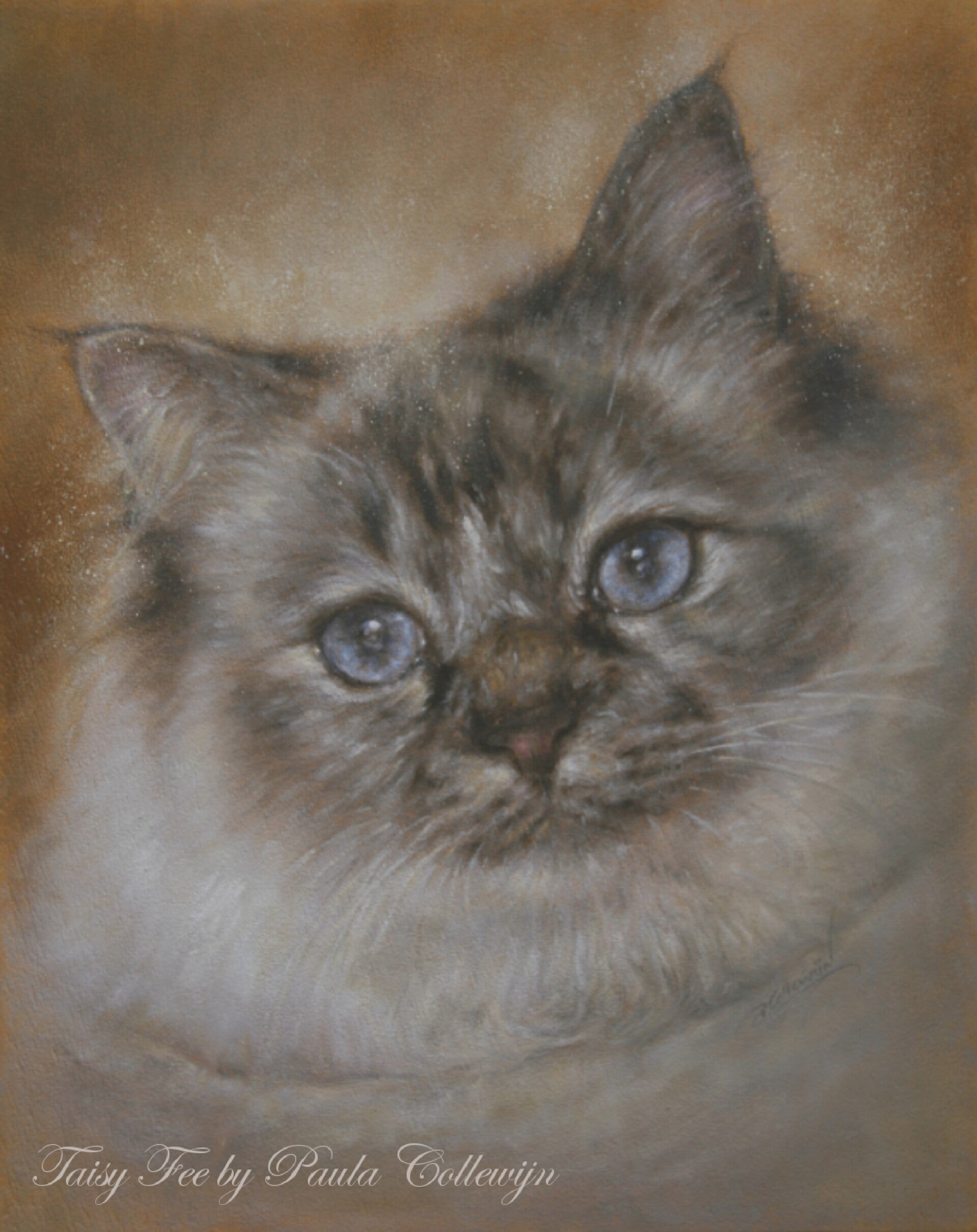 Romashka's Taisy Fee