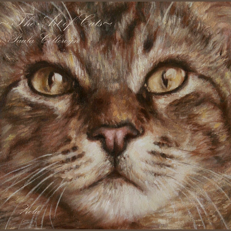 Zola - detail