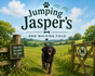 Jumping Jaspers Dog Field