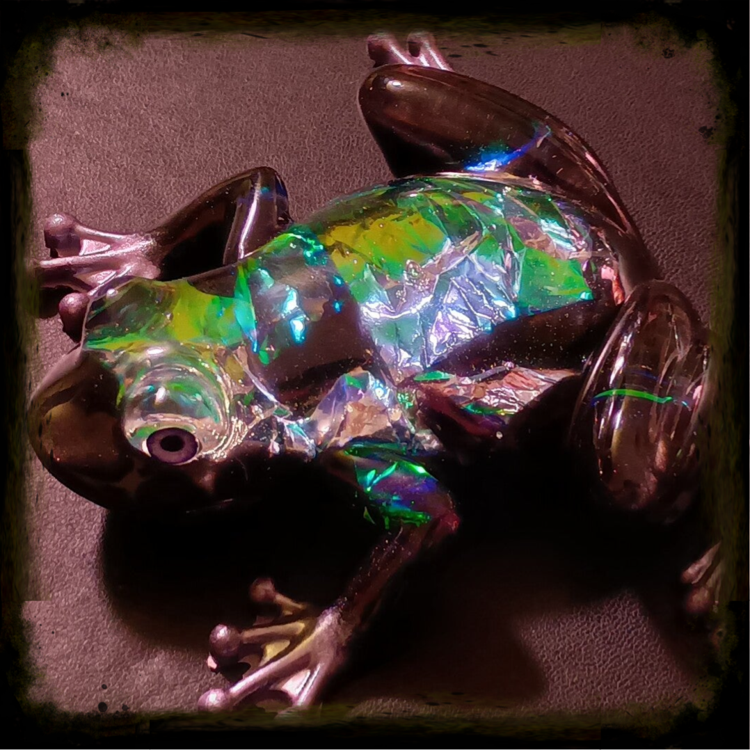 Frog - Holgraphic