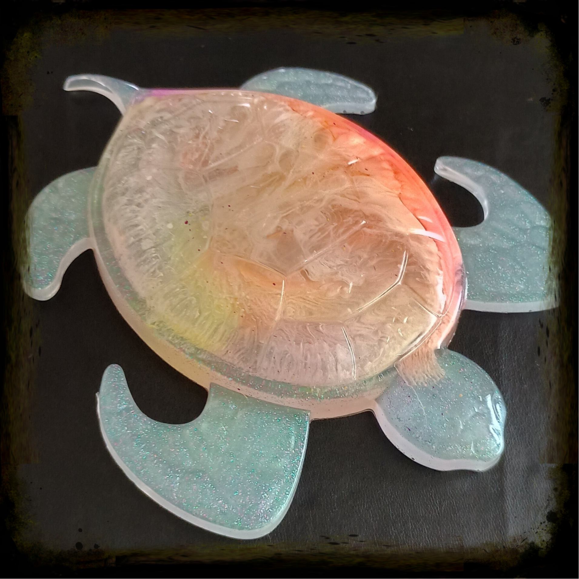 Turtle - Multi-fluro Petri with Holographic Glitter
