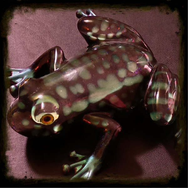 Frog - Glow in the Dark Raindrop